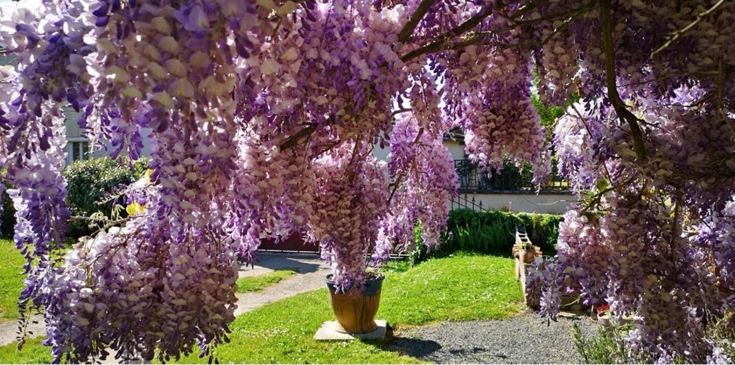 Appartamento La Ferme Du Grand Bois Mouterre-Silly Esterno foto