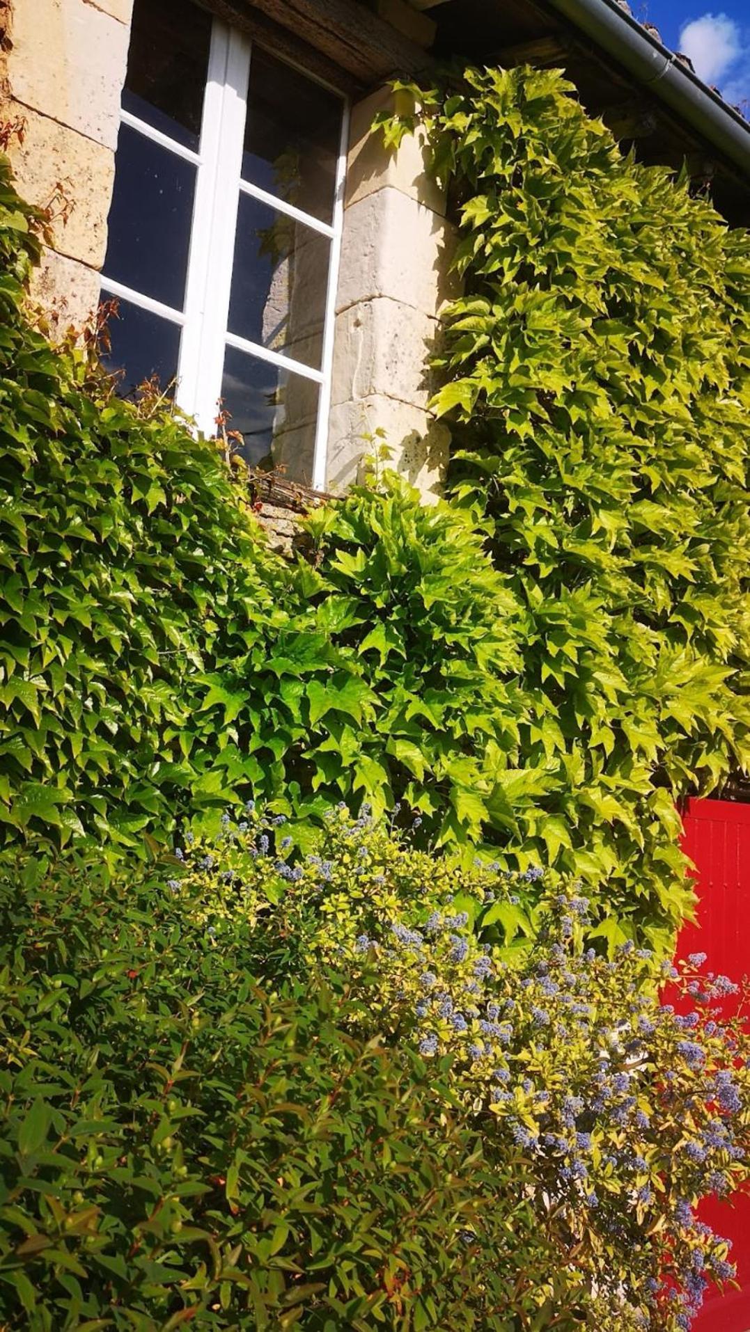 Appartamento La Ferme Du Grand Bois Mouterre-Silly Esterno foto